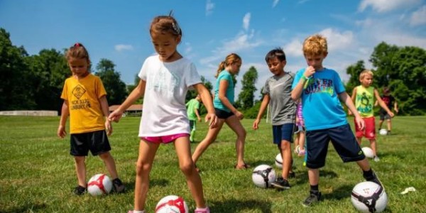 半岛体育官网-【专栏】巴西人眼里的足球生态灾难